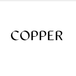 https://sg.mncjobz.com/company/copper